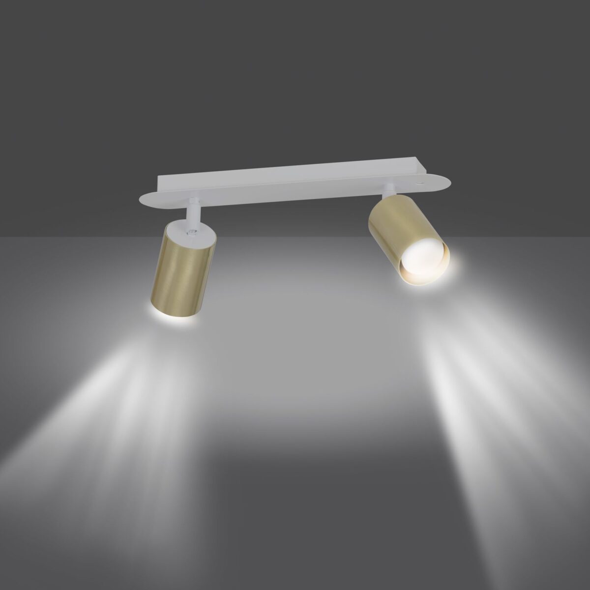 Lampa sufitowa ZEN biała 2-punktowa 623/2