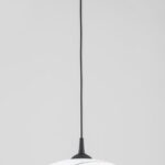 Lampa wisząca 1 punktowa ze szklanym kloszem, dodatkowe elementy w kolorze czarnym.